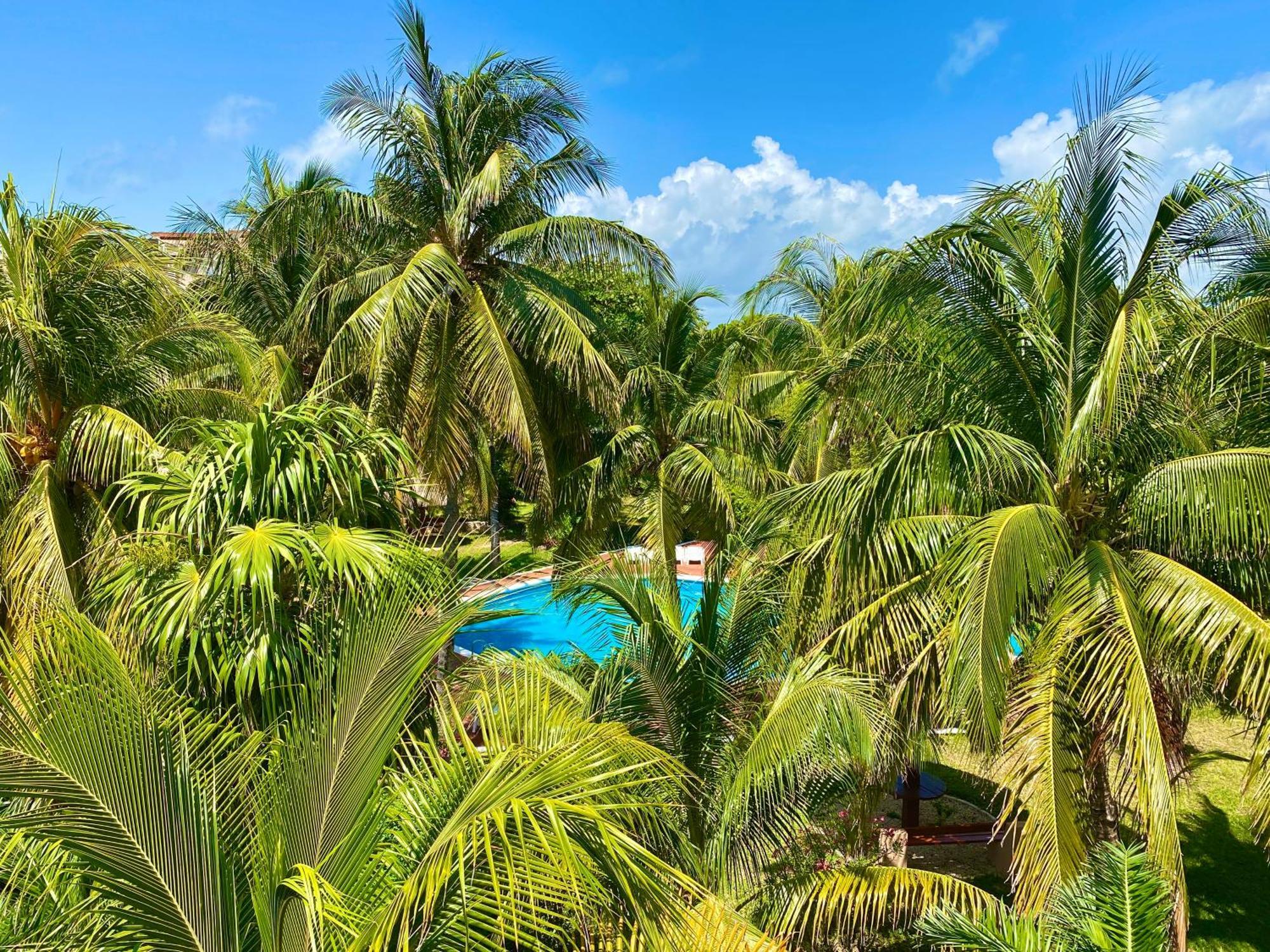 Apartment Tropical By Andiani